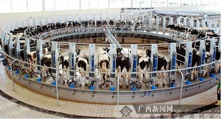 媒体聚焦中国乳业 蒙牛国际品质树行业典范-广西新闻网